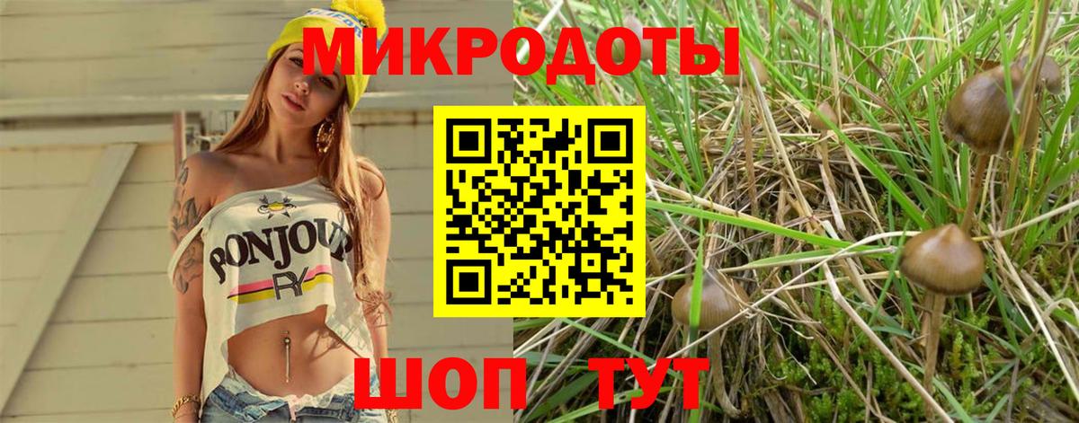 Галлюциногенные грибы Magic Shrooms Вышний Волочёк