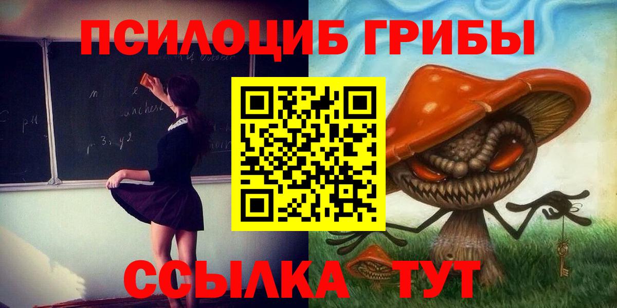 Галлюциногенные грибы Psilocybe  Вход с VPN  Псилоцибиновые грибы MAGIC MUSHROOMS  Вышний Волочёк 